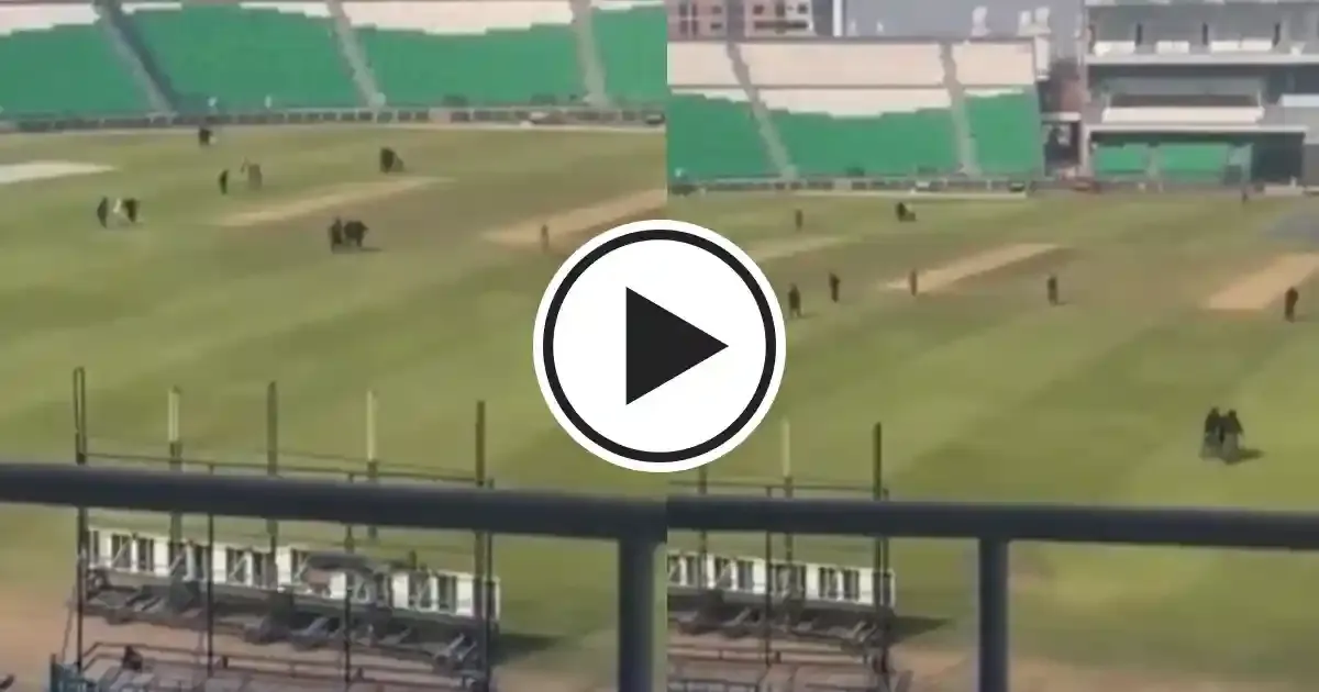 lahore officials conduct special drill to catch pitch invaders in gaddafi stadium ahead of champions trophy