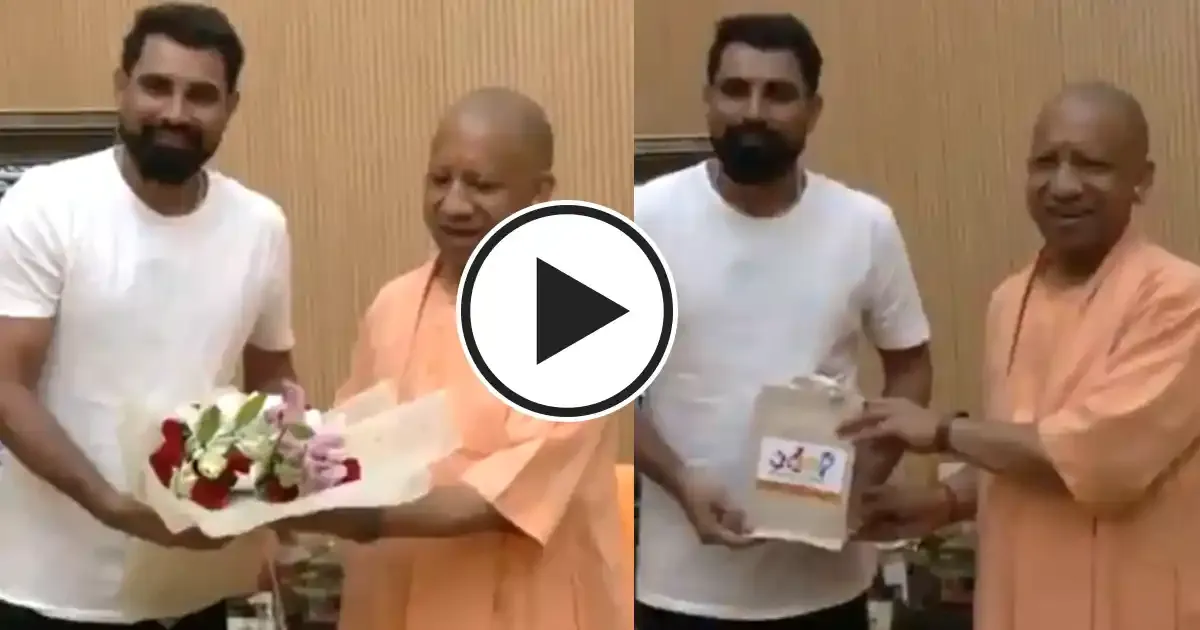shami x yogi