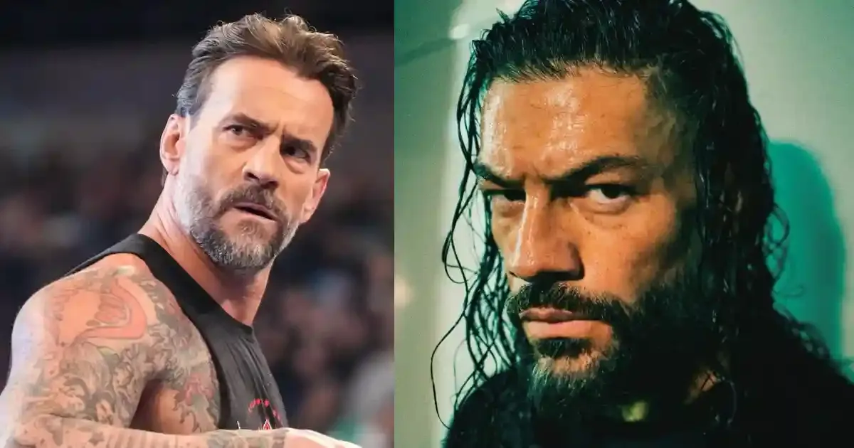 roman reigns and cm punk sportstiger