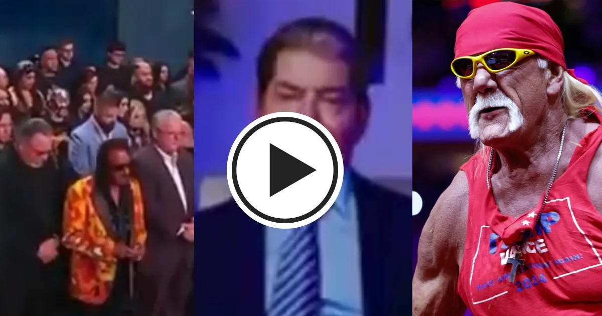 watch with hulk hogan